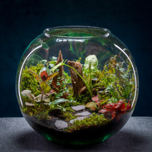 creatura-gömbök-178