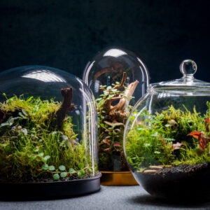 creatura-gömbök-229