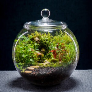 creatura-gömbök-198